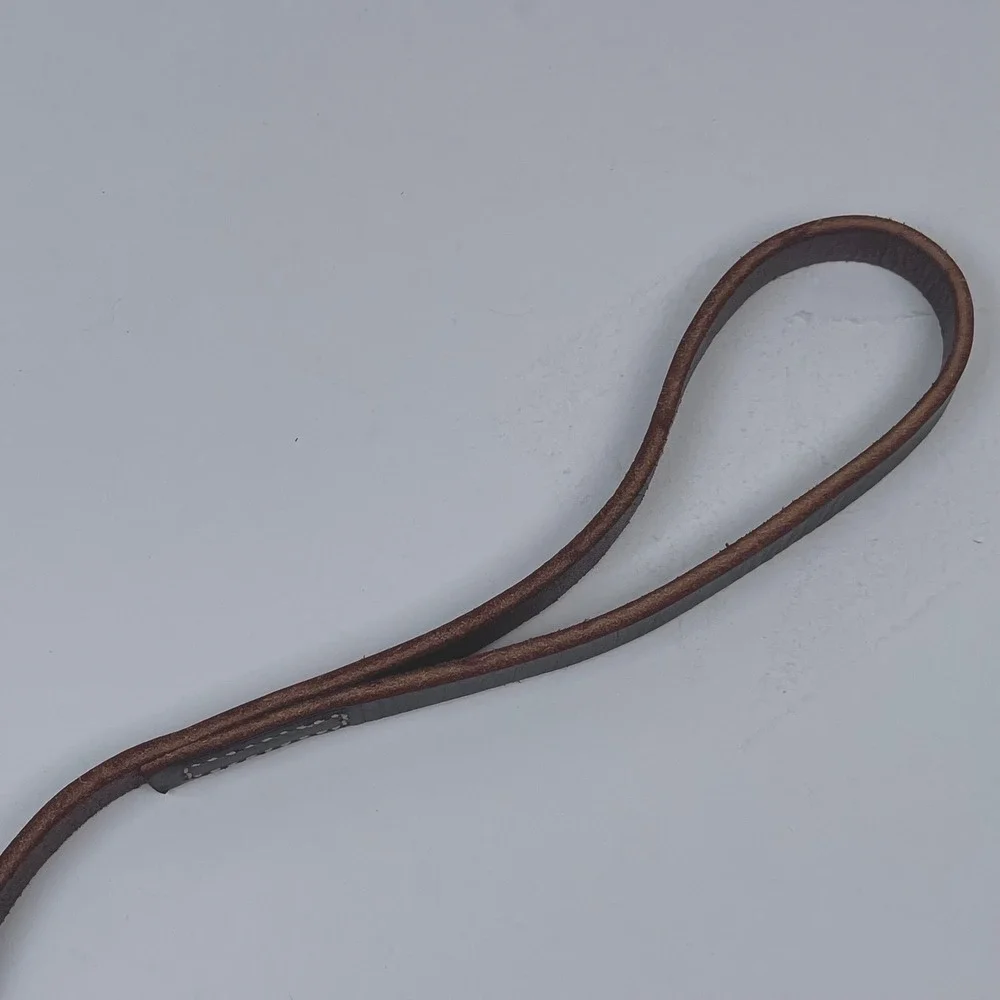 Frisco Leather Dog Leash Brown Genuine Leather Silver Hardware Walking Lead 6'
